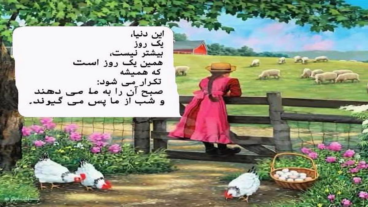 دی جی پریسو یازین گولی سارالماز
